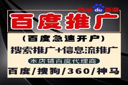 某品牌SEM广告的蜕变——代运营公司的力量
